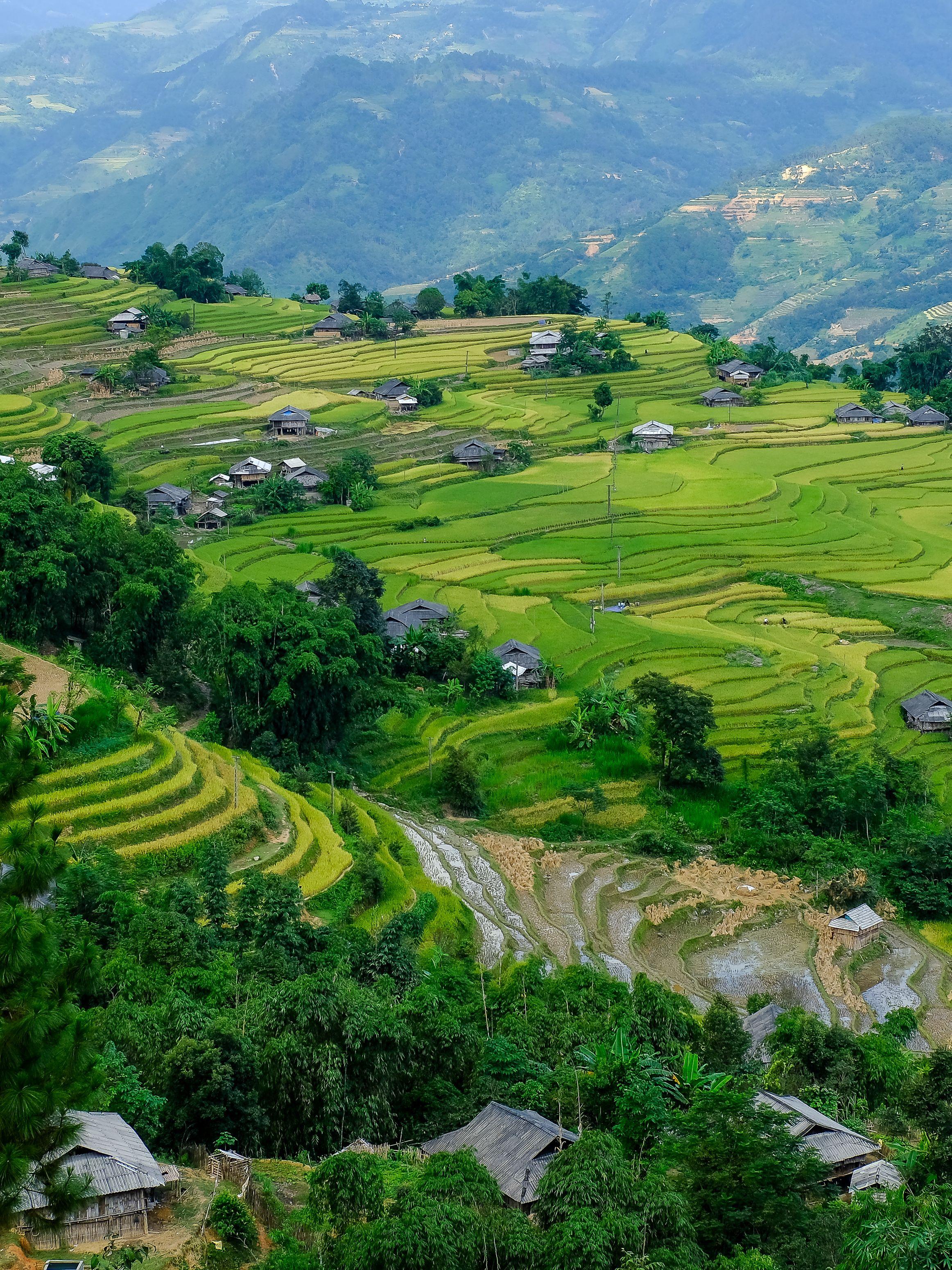 Vietnam, Vietnam